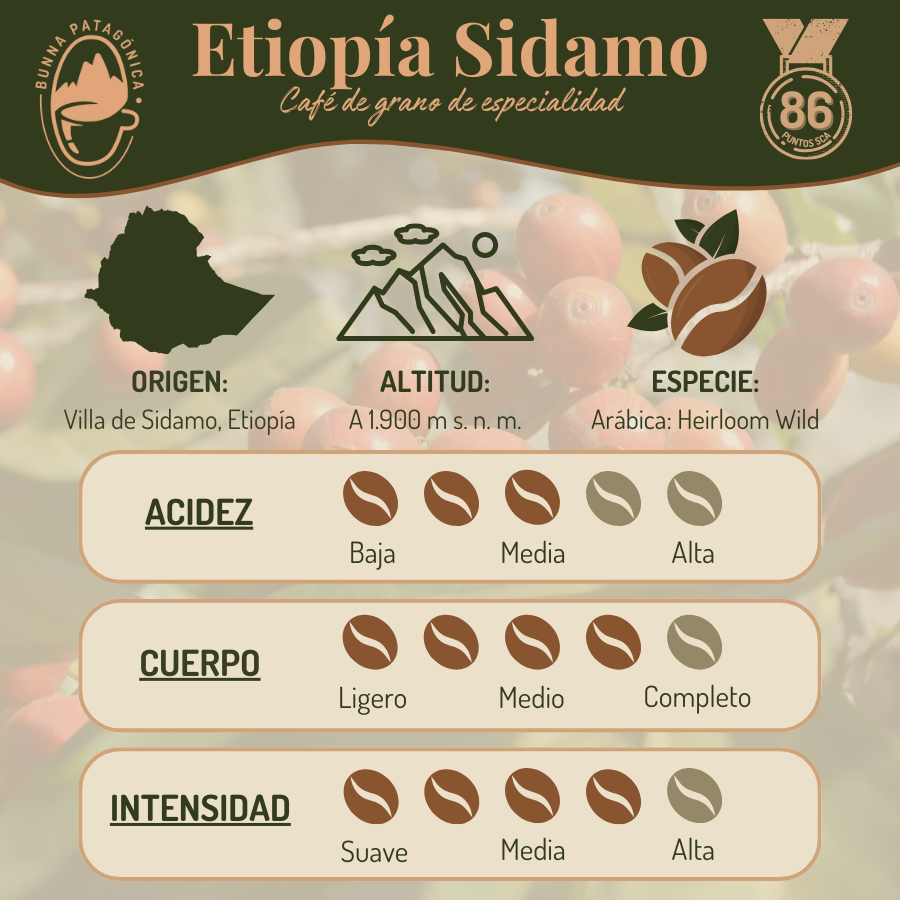 Café Etiopía Sidamo