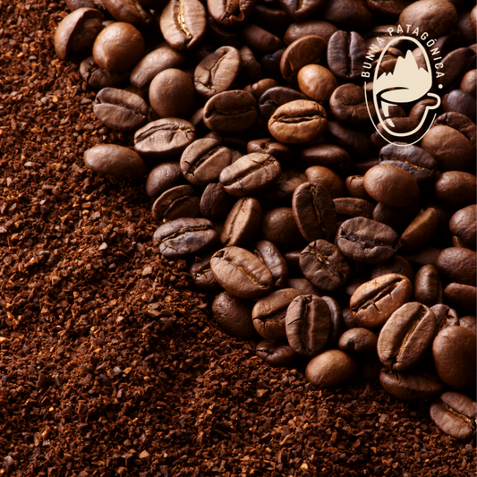 Café El Salvador Arábica