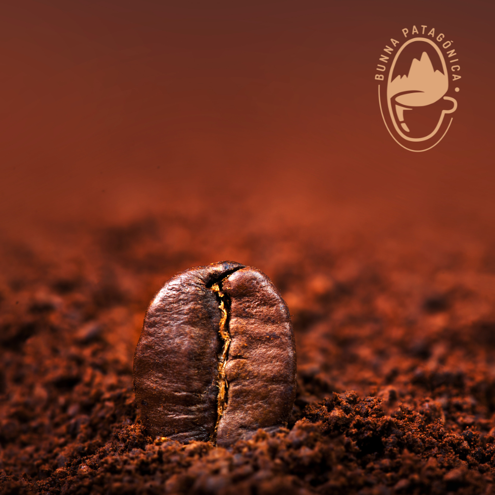 Café Etiopía Arábica