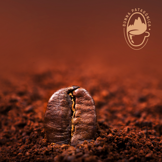 Café Etiopía Arábica