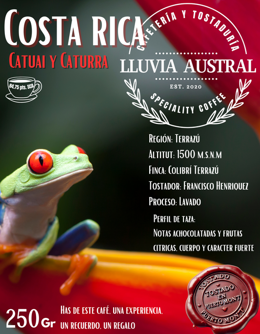 Café Costa Rica Catuai Caturra