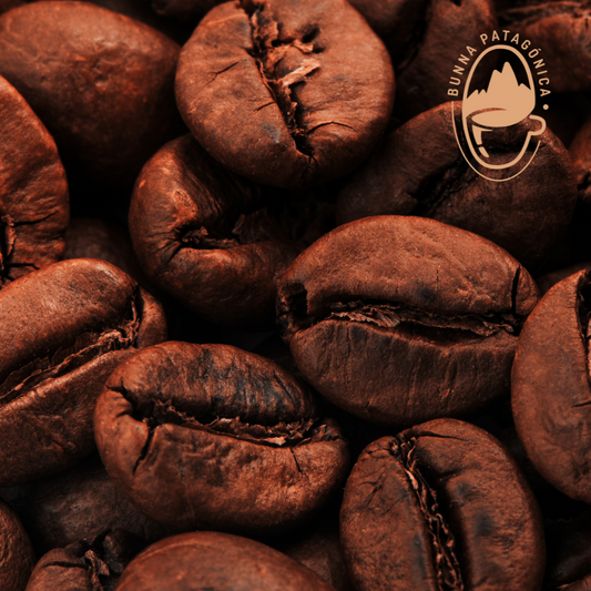 Café El Salvador & Etiopía Sidamo